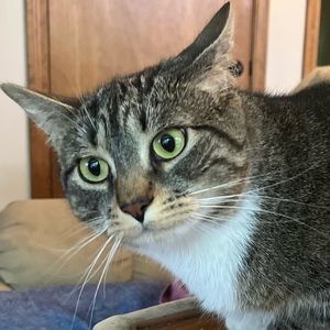 Meet your Posher, Aria